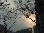DSCF1715