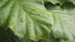 DSC00710