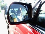 taxi(day)_6