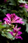 SIMG_0422