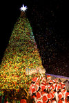 SnowingTree