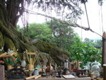tree house4