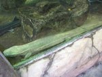 CIMG0710