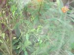 CIMG0717