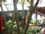 CIMG0731