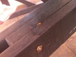CIMG0738