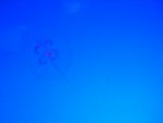 CIMG0745