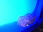 CIMG0746