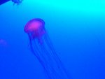 CIMG0748