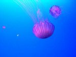CIMG0752