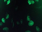CIMG0753