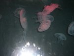 CIMG0756