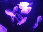 CIMG0757