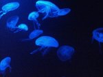 CIMG0762