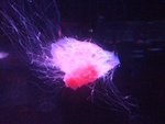 CIMG0771