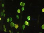 CIMG0776