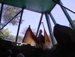 DSC01761
