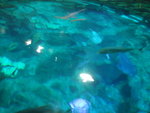 DSC01762