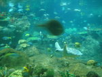 DSC01766
