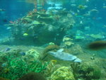 DSC01767