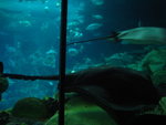 DSC01768