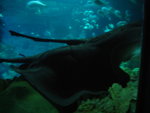 DSC01770