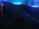 DSC01781