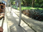 DSC01786