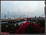 DSC00071
