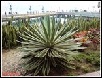 DSC00072