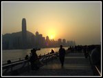 DSC00230
