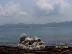 照片 024