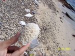 照片 028