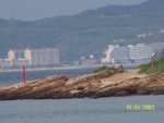 照片 163
