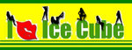 iCE 08年最新logo 2