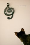 IMG_7425e1-