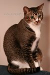 IMG_8672-1-