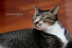 IMG_8793e1-