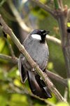 IMG_9142e1-