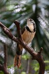 IMG_9145-1-