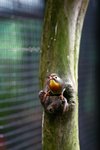 IMG_9244e1-