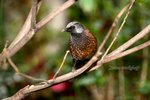 IMG_9260e1-
