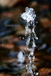 IMG_9372e1-