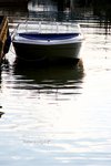 IMG_3769e1-