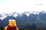 IMG_3344e1-