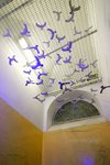 IMG_3016e1-