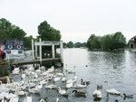 Windsor