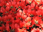 DSCF1628