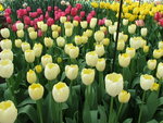 DSCF1629