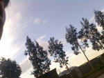 Sky010